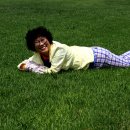 신덕고분군 이미지