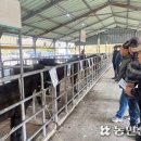 서귀포시축산농협 이미지