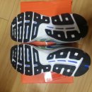 에너다인 이미지