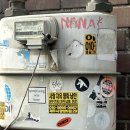 사랑자유평화낭만