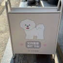 석촌호수 서호(카페 앞) 이미지