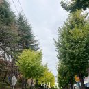 규문당과자점 네이버블로그