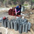 대도농장 이미지