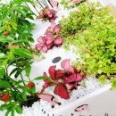 아이비여성의원 이미지