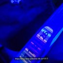 세일장례식장 | 마곡 뮤지컬 'LG 아트센터 서울' <비틀쥬스> 관람 후기 | 정성화 윤공주 캐스팅 위치 예매 좌석 시야 정보