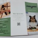 퍼피플레이트