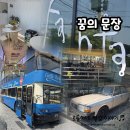 현대세종서비스 | 꿈의 문장/고복저수지 연서면 2층버스 카페 추천, 아이와함께, 젖소뷰