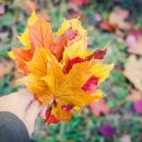 청주숯불갈비 이미지