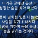 개똥벌레별 이미지