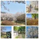 금강로하스 해피로드(2) | 나의 둘레길 100선(12) -대청호 로하스 해피로드(대전)