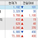 케이아이비플러그에너지(주)