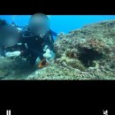 포포구 | 대만 소류구 맥주병 가족의 스쿠버 다이빙 후기 <포포다이브>