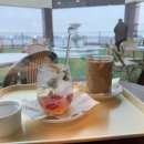 카페 인 코너 | 시흥 거북섬 애견동반카페 인유어코너 테라스 뷰 맛집