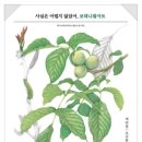 기초 보태니컬아트 기법 이미지