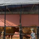 한터농원영농조합 이미지