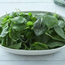 88휘트니스 이미지