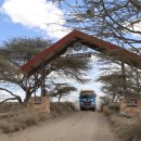 세렝게티 이미지