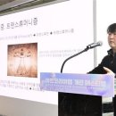 달아트랩