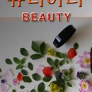 메디젤