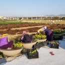 온양4동 실옥로 이미지