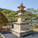 한국궁중꽃박물관 이미지