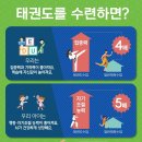 바른태권도 이미지