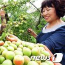 김연화농장 이미지