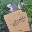 동동바구;피카그린
