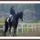 화이트밸리 이미지