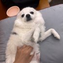 기선노래클럽