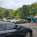 탑동길손 이미지