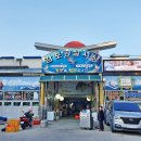 감포참가자미회 이미지