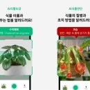 그루 이미지