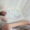 수원 베스트산부인과 제왕절개 2-3일차 후기 | 1인실 이동 | 맛있는 밥 | 회복운동