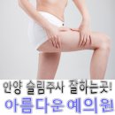예슬림의원 네이버블로그