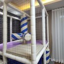 멍레스트 이미지