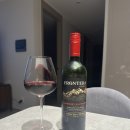 [술술리뷰/Red Wine] 프론테라 프리미엄 까베르네 쇼비뇽 2023🍷