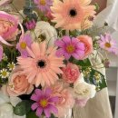 아뜰리에 몽 이미지