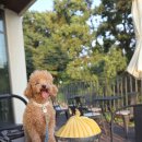 엘피갤러리 이미지