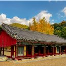 11/23(일)구름위의 산책길 월영산출렁다리,보석사,서산한우목장웰빙산책로,해미읍성,금산인삼어죽여행 이미지