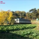 대상(주)오산공장