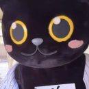 사령탑 칭찬 선수만 &#39;최소&#39; 9명! LG 그만큼 투·타 완벽했다 &#34;무더운 날씨에 고생했고, 축하하고 감사하다&#34; [잠실 현장] 이미지