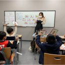 스타인터내셔널 이미지