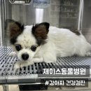 제이스동물병원 이미지