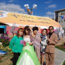 금산-37 Daum카페