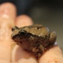 아이트리 이미지