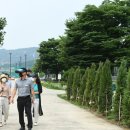 한강시민공원(자연학습장) 이미지