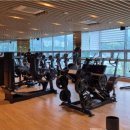 더포라스위츠 스포츠센터 이미지