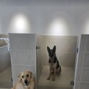 멍블랑 유치원 이미지