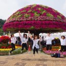 금산1길 이미지